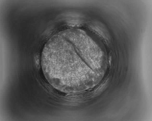 X0000096381396200802211112