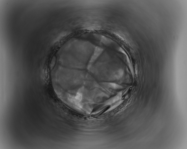 X0000096381398200802211112