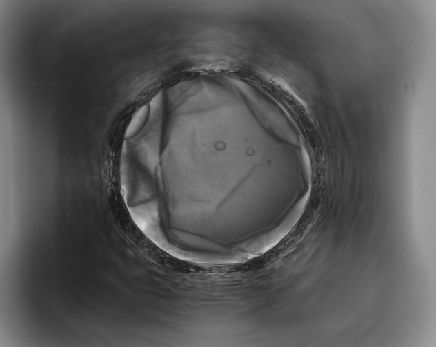 X0000096381399200802211112