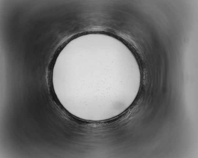 X0000096381404200802211112