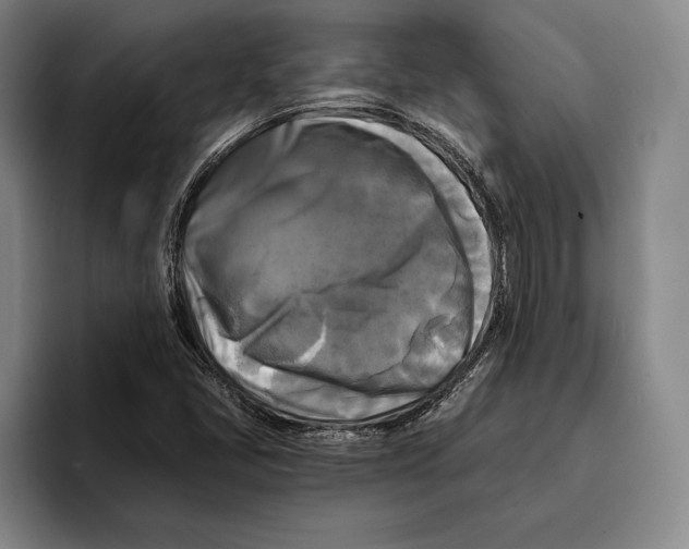 X0000096381405200802211112