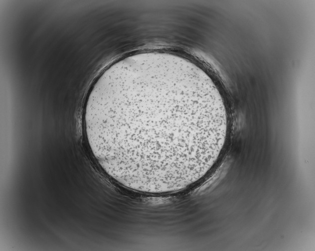 X0000096381409200802211112