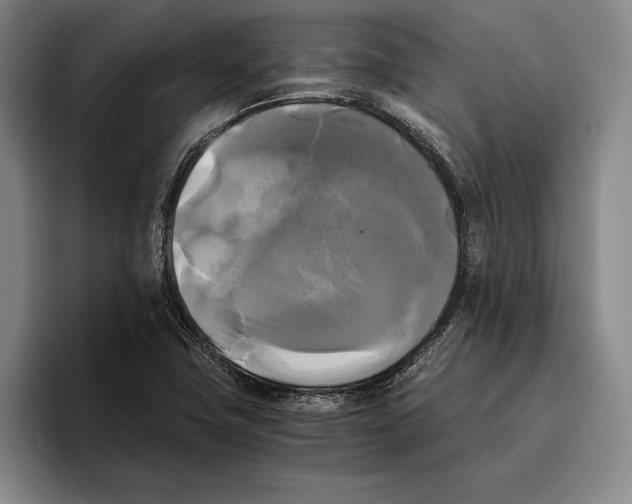 X0000096381411200802211112