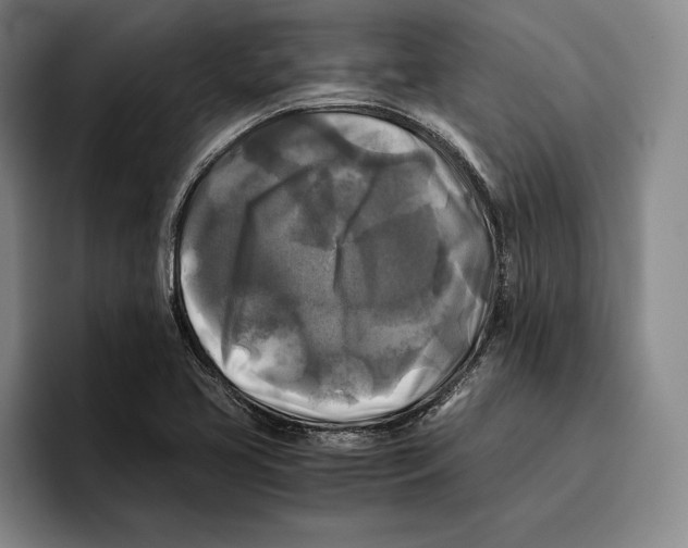 X0000096381413200802211112