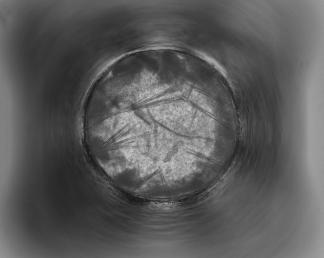 X0000096381415200802211112
