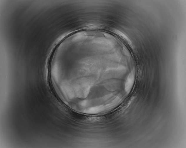 X0000096381419200802211112