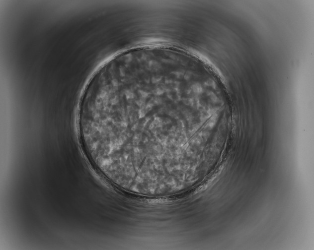 X0000096381421200802211112