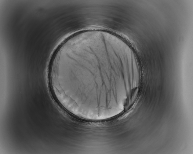 X0000096381422200802211112