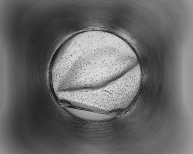 X0000096381423200802211112