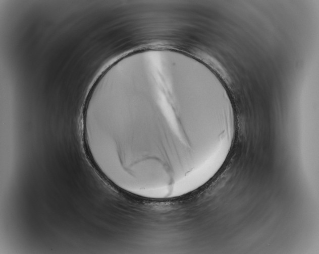 X0000096381428200802211112