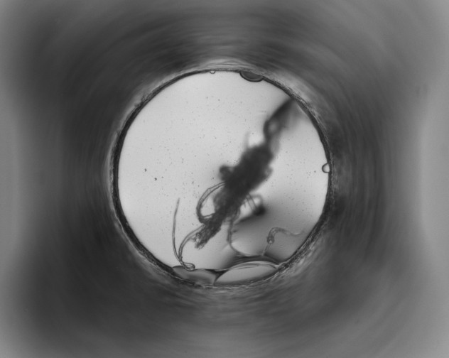 X0000096381430200802211112