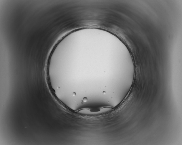 X0000096381432200802211112