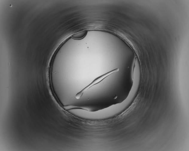 X0000096381434200802211112