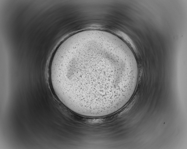 X0000096381435200802211112