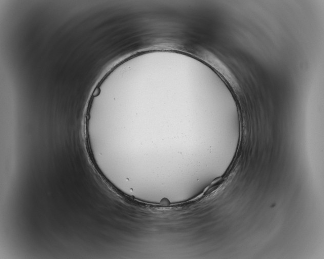 X0000096381436200802211112