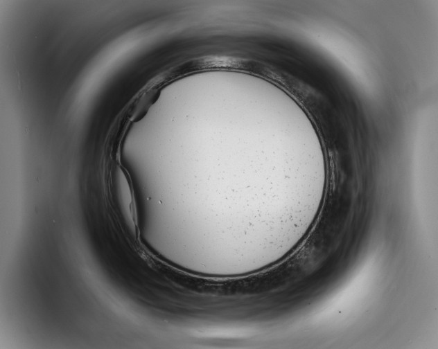 X0000096381438200802211112