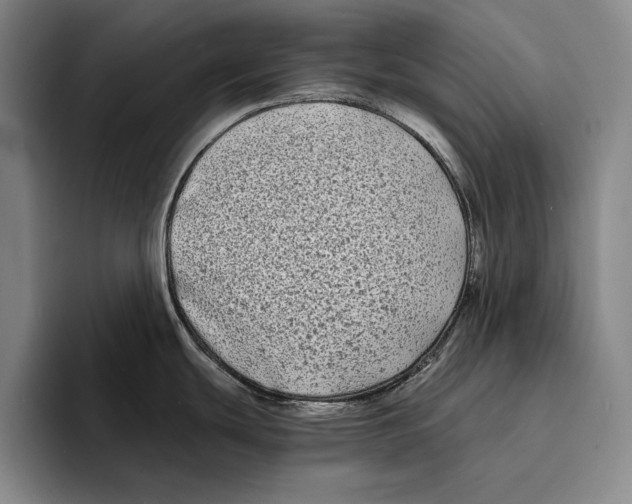 X0000096381439200802211112