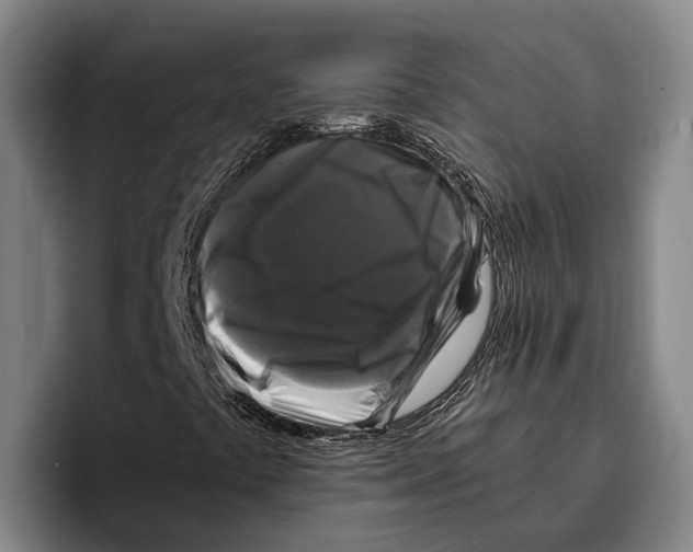 X0000096381441200802211112