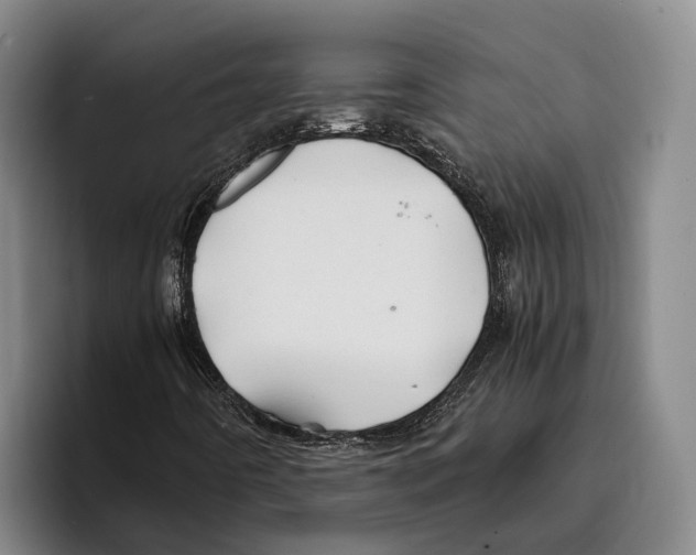 X0000096381442200802211112