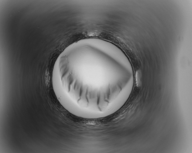 X0000096381443200802211112