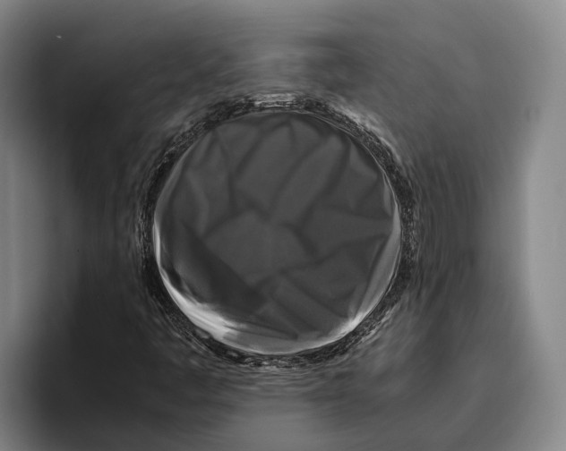 X0000096381445200802211112