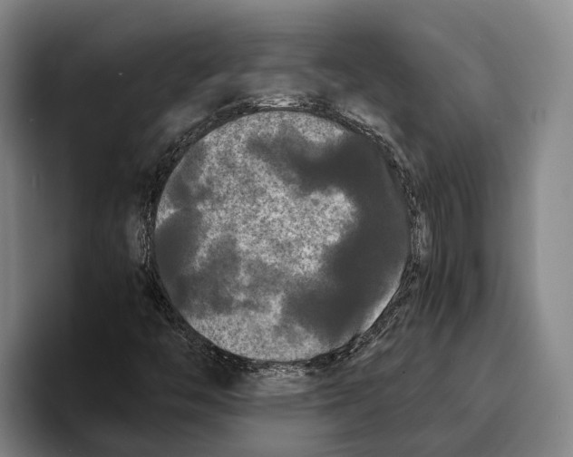 X0000096381446200802211112