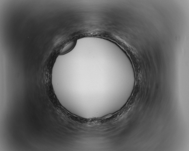 X0000096381447200802211112