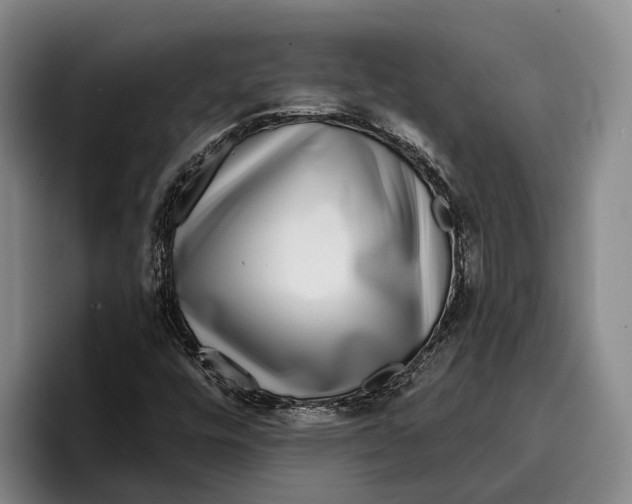 X0000096381448200802211112