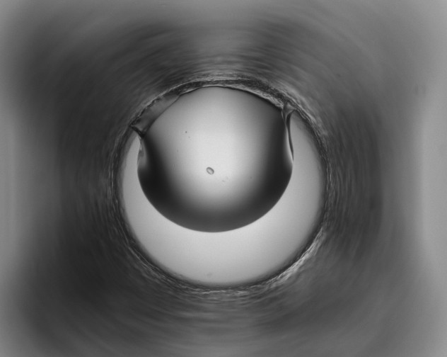 X0000096381449200802211112