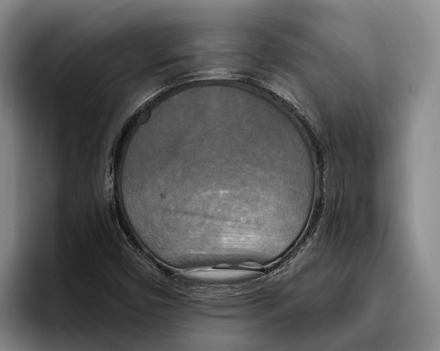 X0000096381450200802211112