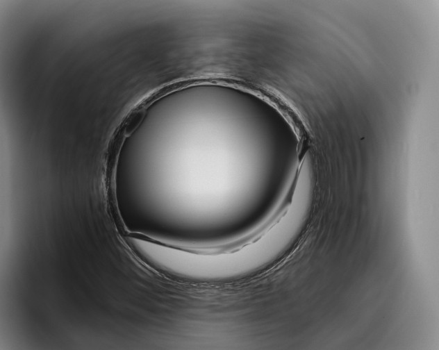 X0000096381452200802211112