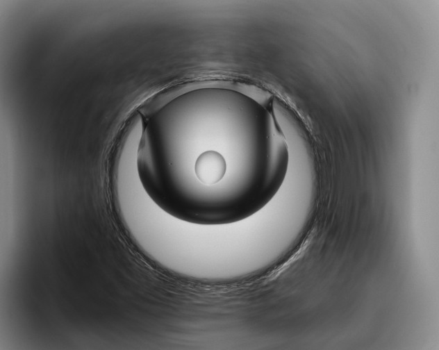 X0000096381453200802211112