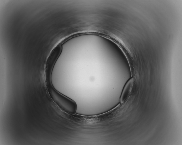 X0000096381460200802211111