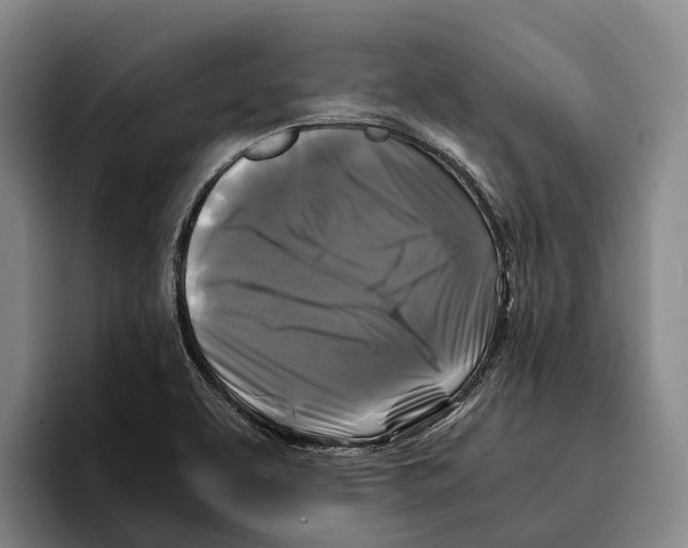 X0000096381463200802211111