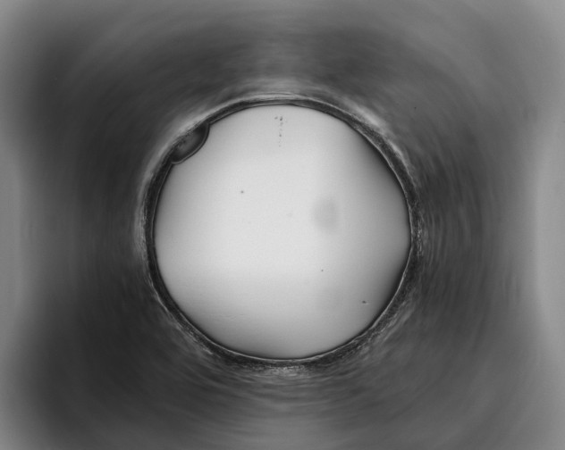 X0000096381464200802211111