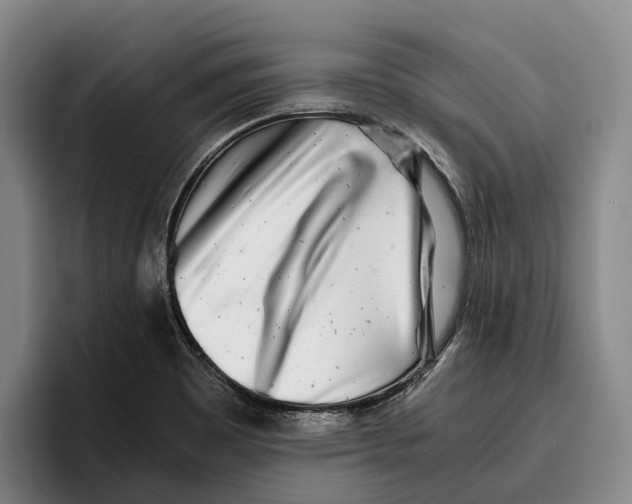 X0000096381465200802211111