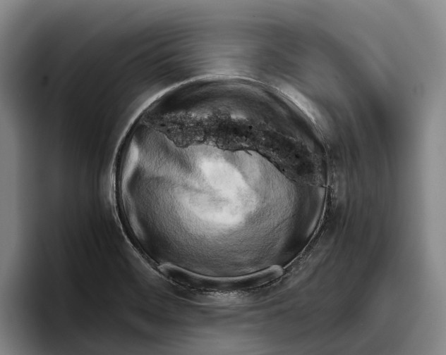 X0000096381468200802211111