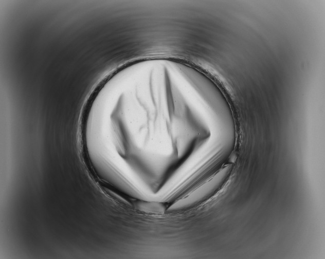 X0000096381469200802211111