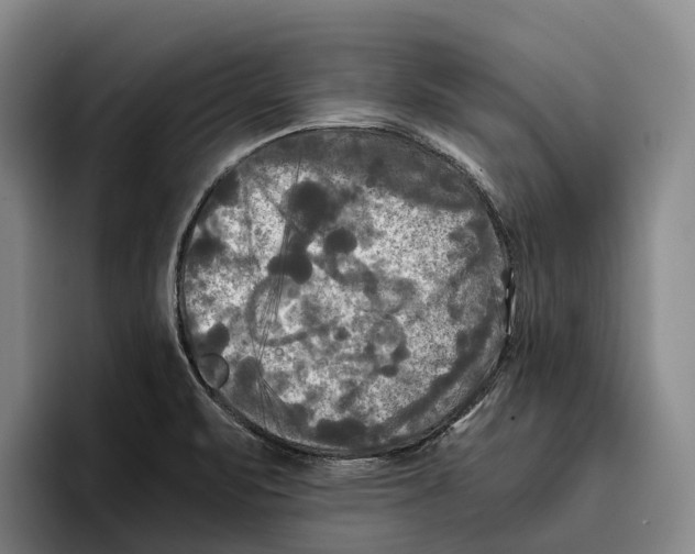 X0000096381471200802211111