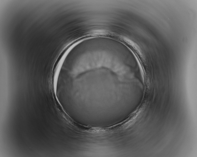 X0000096381473200802211111