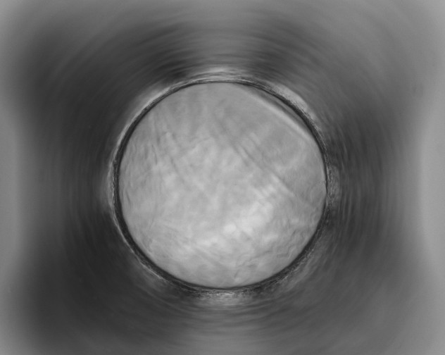 X0000096381474200802211111