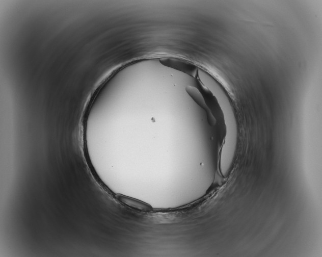 X0000096381476200802211111