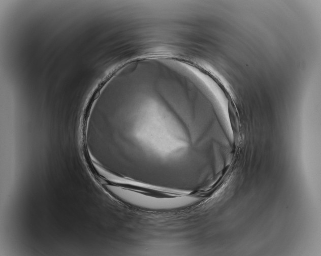 X0000096381477200802211111