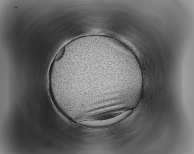 X0000096381479200802211111