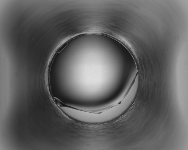 X0000096381480200802211111