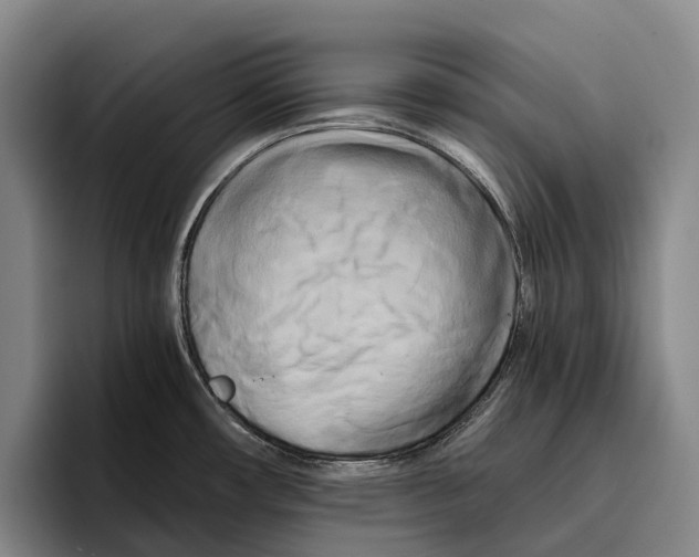 X0000096381482200802211111