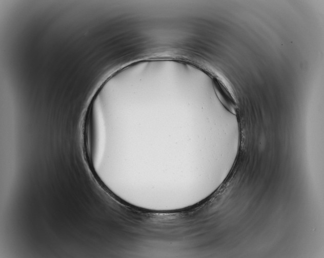 X0000096381483200802211111