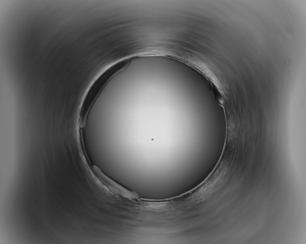 X0000096381484200802211111