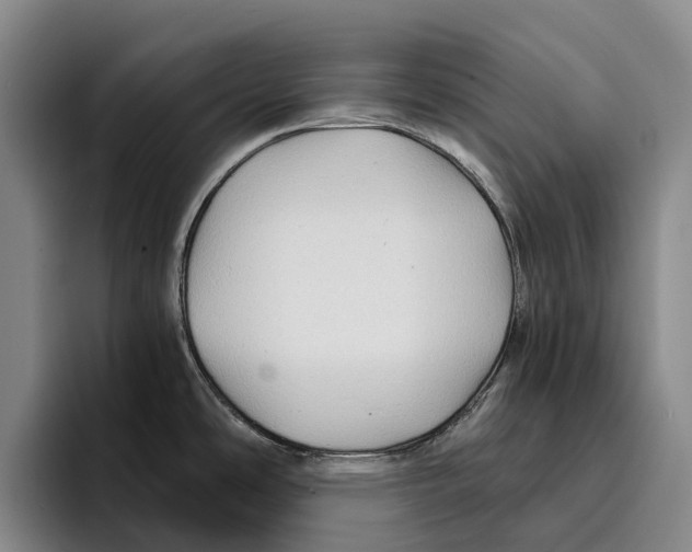 X0000096381486200802211111