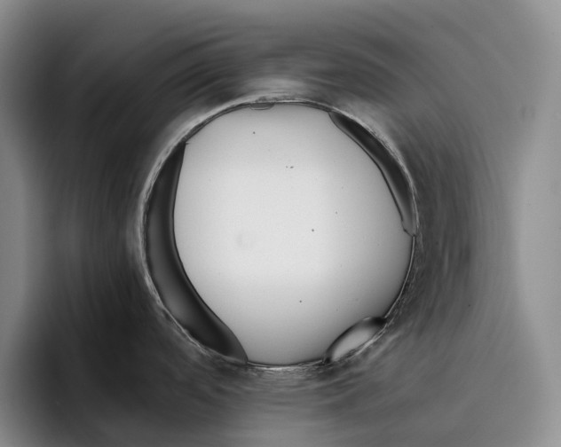 X0000096381488200802211111